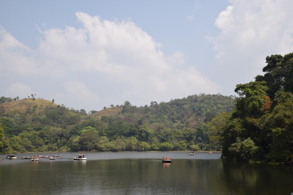 3 Hills County Kalpetta Bagian luar foto